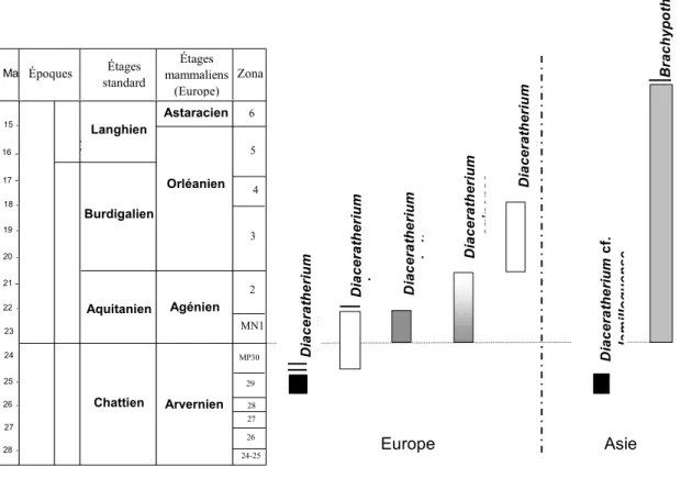 Fig. 2 — Corrélations chronobiostratigraphiques pour l’Oligocène supérieur et le Miocène inférieur-moyen