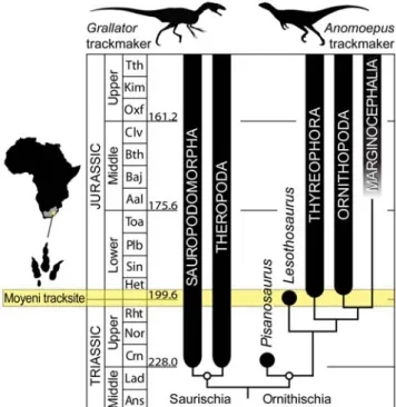 Figure 2. Map of major geological features and tracks at the Moyeni tracksite. Trackways of Anomoepus and Grallator are in solid green and blue, respectively; all other trackways are in 50% grey.