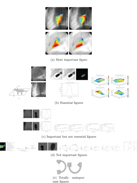 Figure 4. Images of the article “Is single–view fluoroscopy sufficient in guiding cardiac ablation procedures?” 22 sorted by importance.