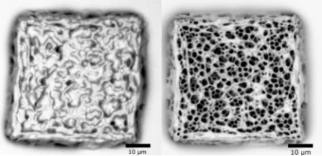 FIG. 3. Light microscopy image taken directly after writing several parallel lines of length 100 μm from top to bottom