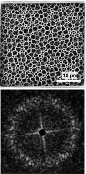 FIG. 4. (a) Scanning electron micrographs of a 3D network structure (height 8 μm), top view
