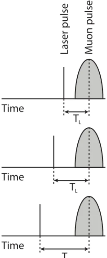 Figure 8. The pump–probe pulse structure. The pump (laser) timing can be changed relative to the probe (muons) to extract time dependence of the excitations.