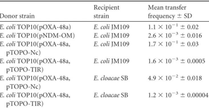 TABLE 1 Primers used in this study