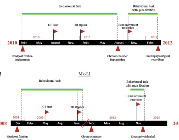 Fig. 3. Timeline of the implantation procedures, behavioral and electrophysiological recordings the two subjects underwent during the overall experimental protocol.