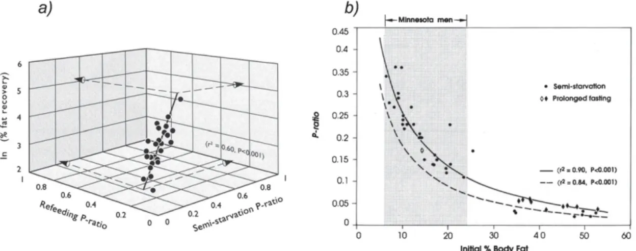 Figure 2. a : graphique tridimensionnel illustrant l’interrelation entre le fraction d’énergie mobilisée ou déposée sous forme de protéines (P-ratio) lors de la semi-restriction (i.e