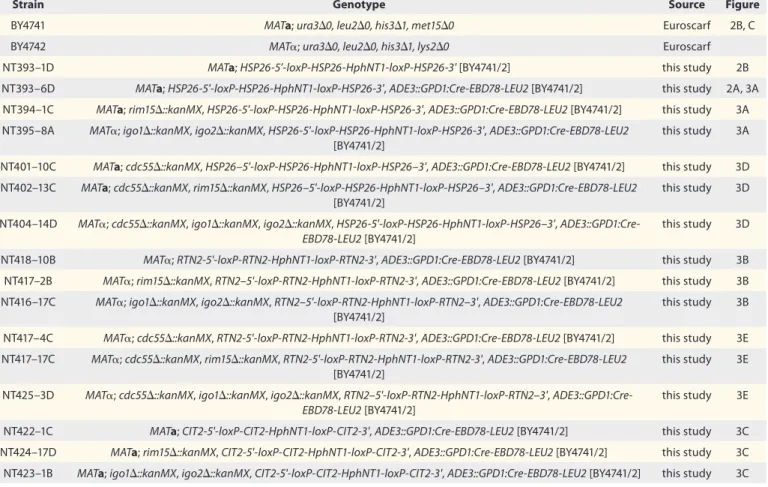 Table 1. Strains used in this study