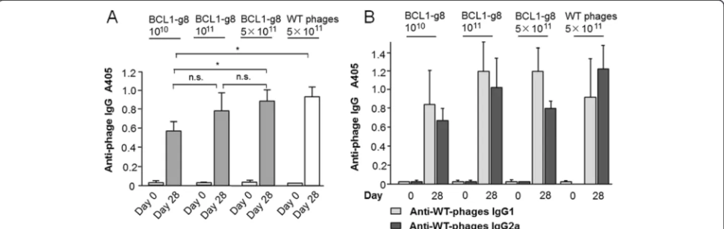 Figure 1 Determination of the phage vaccine dosage. The humoral immune response after vaccination of mice with phage was determined by ELISA (antibody dilution: 1/1000)