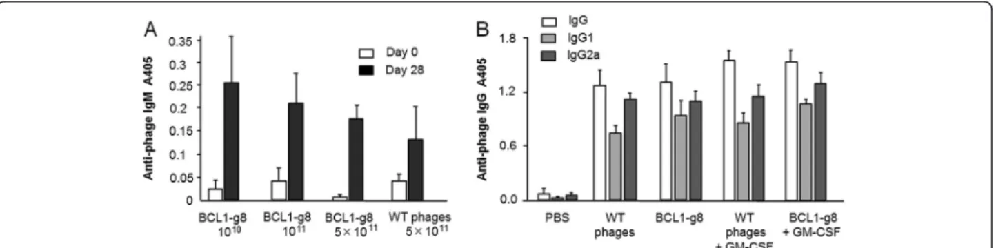 Figure 4 Anti-phage IgM response and IgG response with or without addition of GM-CSF. (A) IgM responses at day 28 were measured after the last vaccination with 10 10 , 10 11 or 5 × 10 11 phage particles weekly for 4 weeks (n = 6; antibody dilution: 1/200)