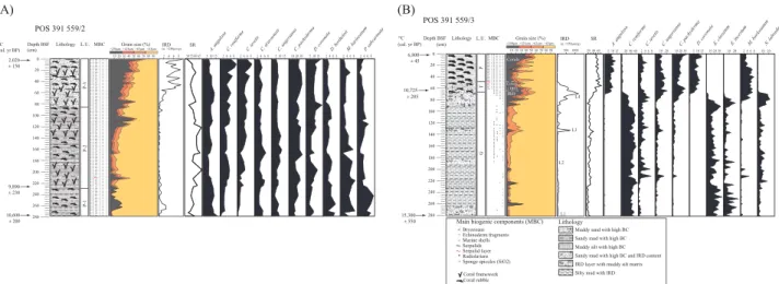 Fig. 3. Lithological log of core POS 391 559/2 (A) and POS 391 559/3 (B) plotted versus grain size distribution, IRD, main biogenic components (MBC), 14 C ages (cal