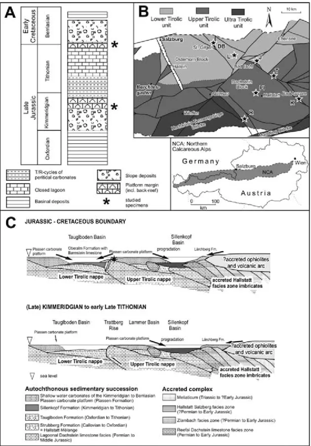 Fig. 1. A. Schematic profile of the Plassen Carbonate Platform at Mount Plassen (based on Schlagintweit et al