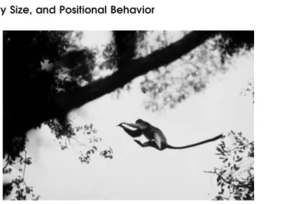 Figure B2. The association between diet and posture is stronger. Elevated rates of sit- sit-ting in black-and-white colobus are a product of a folivorous diet and reliance on highly prized fruits that requires long processing times