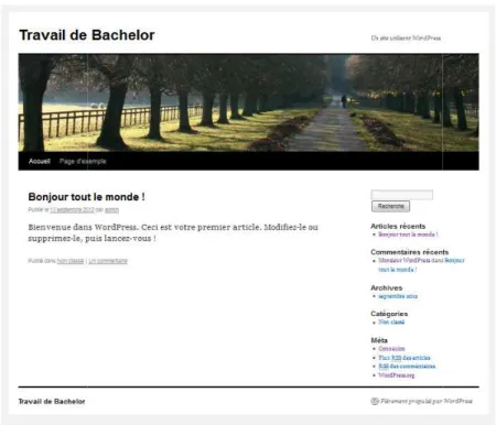 Figure 10 Frontend de WordPress 