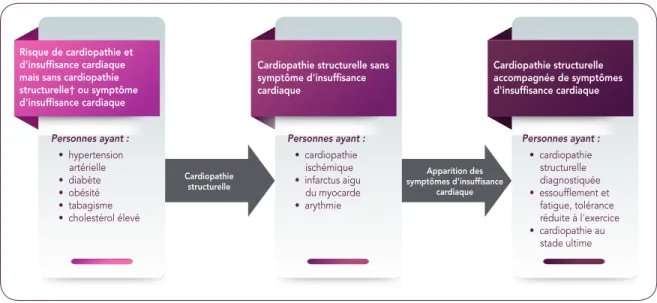 FIGURE A. Événements de santé menant au développement des maladies du cœur 