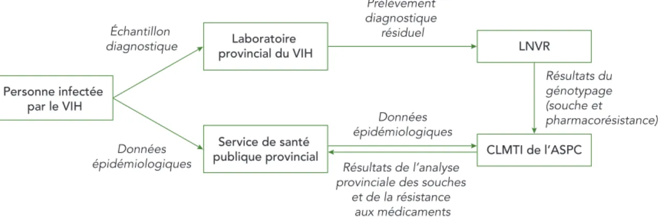 FIGURE 1 : Aperçu du Programme canadien de surveillance des souches et de la résistance  aux médicaments ayant trait au VIH 