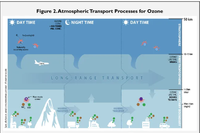 Figure 2. Atmospheric Transport Processes for Ozone 