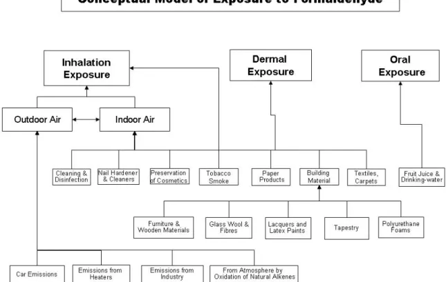 Figure 1: Example of a conceptual model of exposure—Formaldehyde (adapted from  Heinemeyer et al., 2006) 
