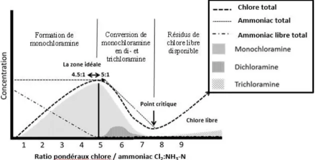 Figure 1 : Courbe idéale du point critique de chloration (modélisée d’après Griffin et 