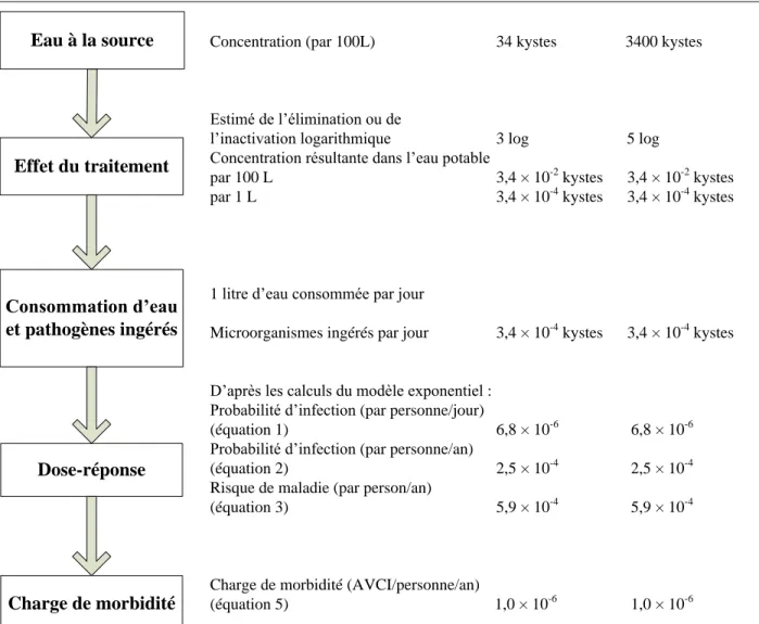 Figure 3. Exemple d’une évaluation des risques pour Giardia dans des conditions déterminées 