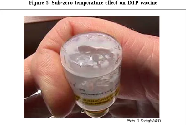 Figure 5: Sub-zero temperature effect on DTP vaccine