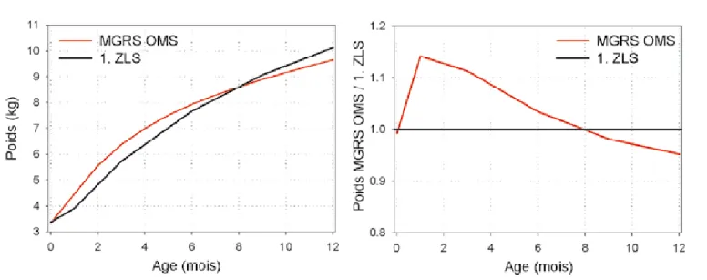 Figure 1:  à gauche: évolution moyenne du poids (percentile 50) des garçons de la 1 ère  étude longitudinale zurichoise (1