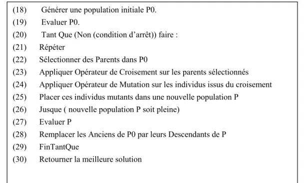 Figure 3 : Fonctionnement de l’algorithme génétique  3.  FORMULATION DU PROBLEME 