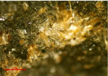 Figure 2: Microscopic view of the composite structure "Before rupture (500 μm)" 