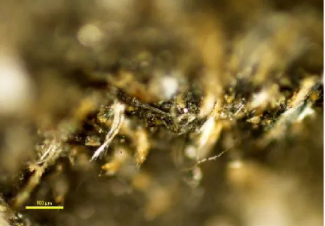 Figure  3: Microscopic view of the filament "After the rupture of the material ((100 μm)" 