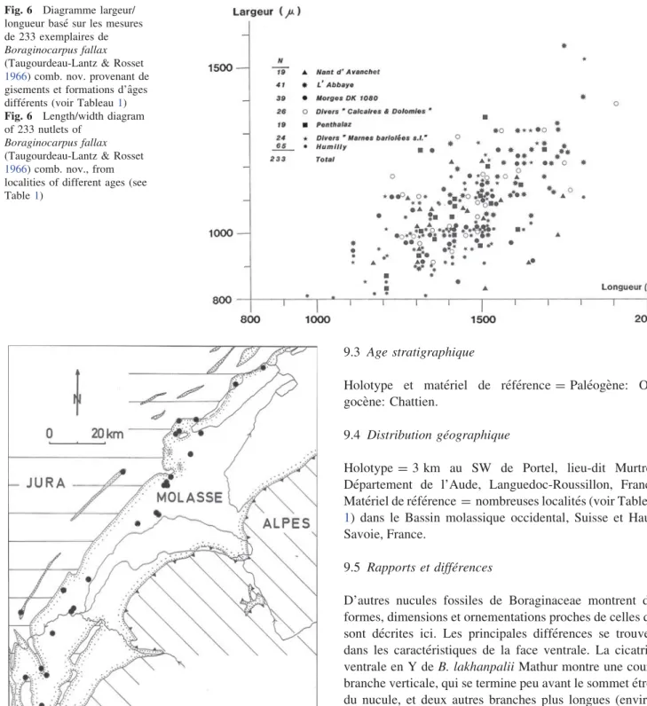 Fig. 7 Localite´s dans l’ouest du Bassin molassique franco-suisse ayant livre´ des nucules de Boraginocarpus fallax (Taugourdeau-Lantz