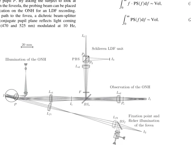 Fig. 2 Optical system with the illumination (ONH and fovea for the flicker light), observation and LDF system