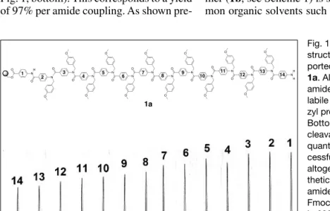 Fig. 1. Top: Chemical structure of solid  sup-ported tetradecamer 1a. All but the first amide carry an acid labile  p-methoxyben-zyl protective group.