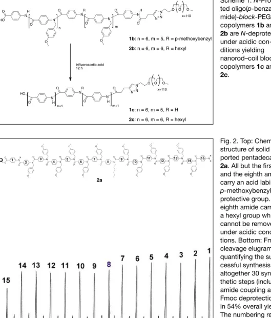 Fig. 2. Top: Chemical structure of solid  sup-ported pentadecamer 2a. All but the first and the eighth amide carry an acid labile p-methoxybenzyl protective group