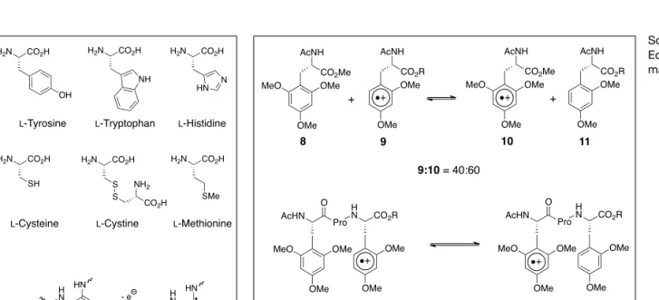 Fig. 1. Amino acids that function as relay amino acids. MeO OMeOMeCO2 MeAcNH OMeOMeCO2 RAcNH89 MeO OMeOMeCO2 MeAcNH OMeOMeCO2 RAcNH10119:10= 40:60++MeOOMeOMeAcHNProOHNCO2ROMeOMe12MeOOMeOMeAcHNProOHNCO2R OMeOMe12:13= 65:3513 Scheme 2