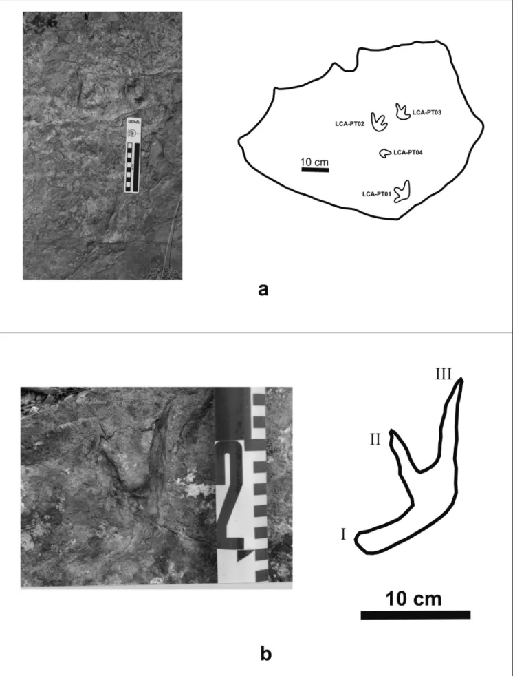 Figure 8.  Pterosaur manus prints from the Los Cayos tracksite (Cornago, La Rioja province)