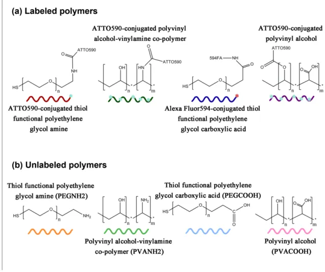 Figure S1.  Chemical structures of dye-conjugated (a) and unlabeled (b) polymers used for  coating of Au-NPs and their schematic drawings used in the Figure 1