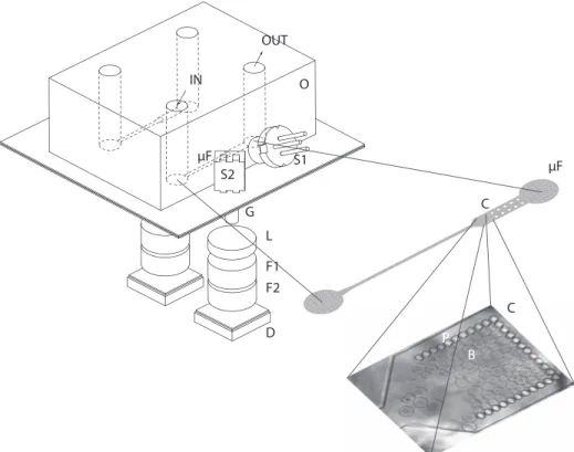 FIG. 1. PDMS block with the tubing (IN, OUT), illumination (S1, S2), detection (D), microfluidic channel (μF), and cage (C) to trap agarose beads (B) filled with bacteria