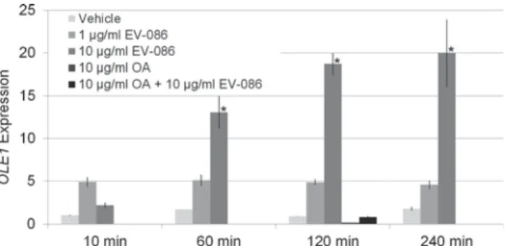 FIG 7 Ratio of saturated to unsaturated free fatty acids and PE fatty acyl chains of EV-086-treated S