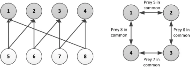 Fig. 1: Visualisation of a food-web graph of order 8 and its associated niche-overlap graph