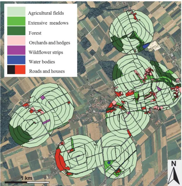 Fig. S2. Aerial photo of the study area. The 10 experimental wildflower strips are surrounded by  ellipsoids of 500 m radius in which land use was measured