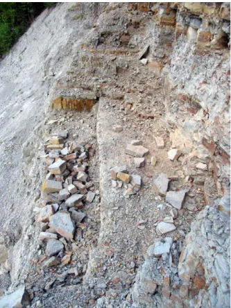 Figure 11: Outcrops pillaged by paleo-pirates in the  White Sea-Arkhangelsk region, Russia in 2006