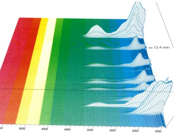 Figure 10: 3D spectrum of 200 to 600 nm of the absorbance for SFM4CHO (Hyclone SH30548) with  method 1.2 