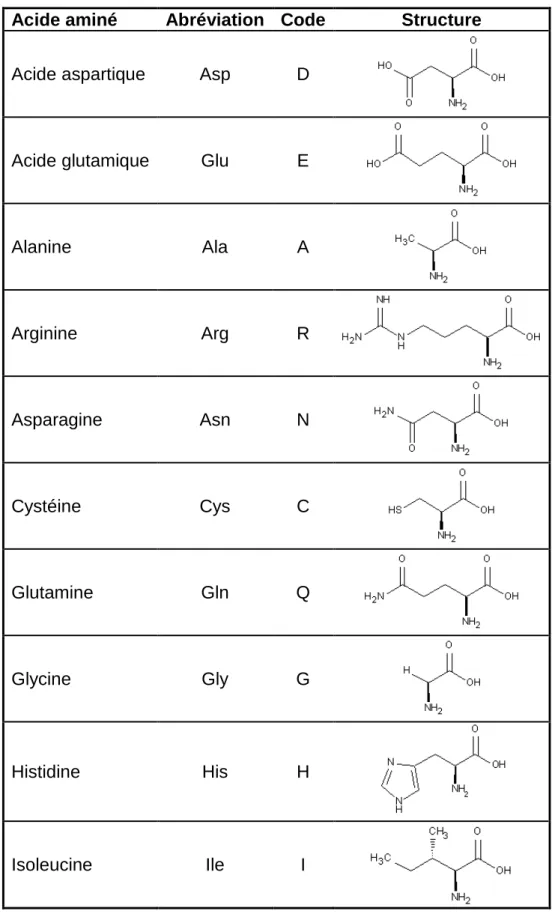 Tableau B : Récapitulatif des acides aminés 