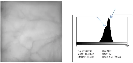 Figure 26: Image (23) extraite avec les LEDs 940nm et un filtre bandf-pass de 880nm  
