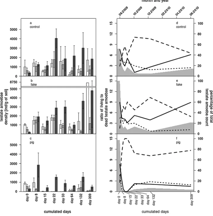 Fig. 3. Patterns of testate amoeba density in response to a pig decomposition experiment in a deciduous forest in Neuchaˆtel, Switzerland