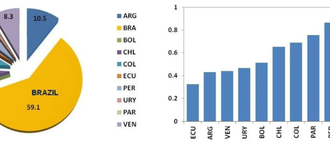 Figure 3: South America’s Economic Linkages With Brazil 