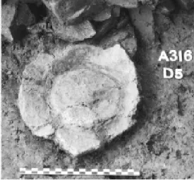 Fig. 65 (à gauche) Remontage des pierres de chauffe de la fosse A304