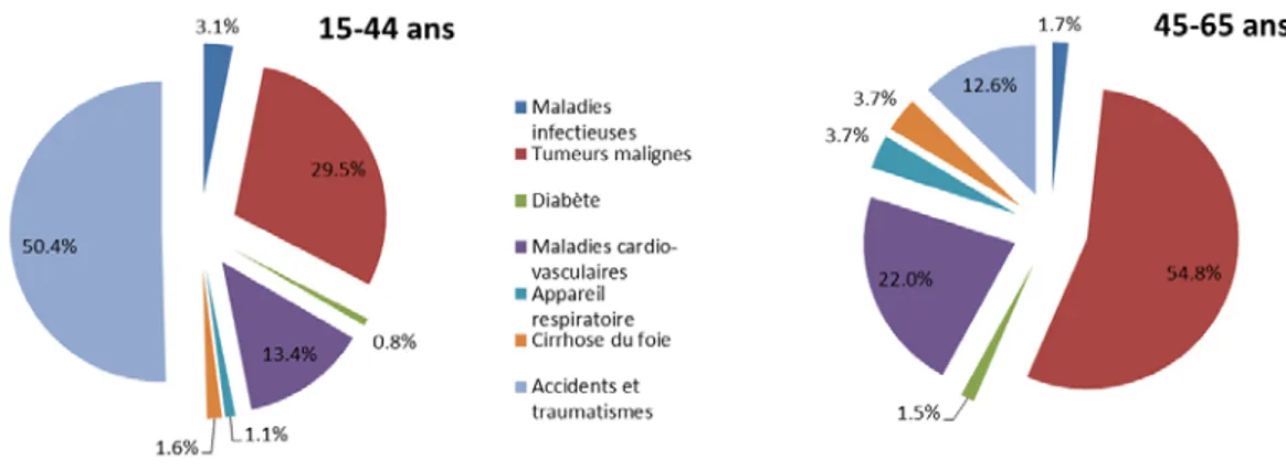 Figure 2 : Principales causes de décès en Suisse selon l’âge, 2010 