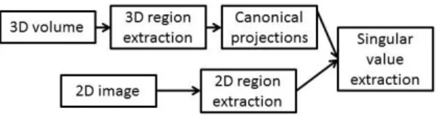 Fig. 1. Schematic overview of the image processing steps of the described approach.