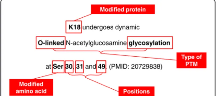 Figure 1 A typical sentence with information on protein glycosylation: Boxes indicate the information that is extracted from the sentence.