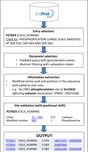 Figure 3 Phosphosite information retrieval: pipeline for the retrieval of documents that potentially provide supporting evidence for existing phosphosite annotations in UniProtKB/Swiss-Prot, where such annotations were made on the basis of information from