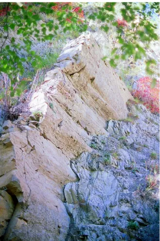 Figure 4: Pic de Couard with cliff and folds in the late  Jurassic Tithonian stage limestones